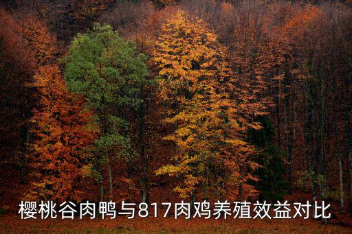 櫻桃谷肉鴨與817肉雞養(yǎng)殖效益對比