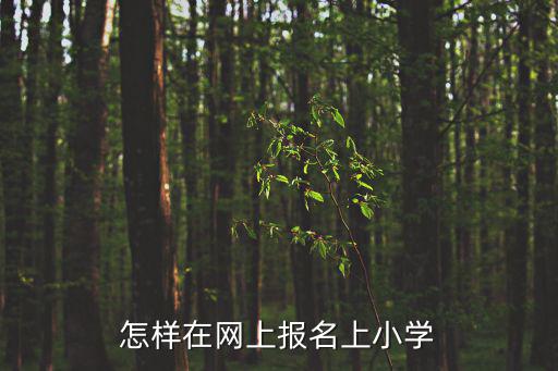 小學網上報名系統，怎樣在網上報名上小學