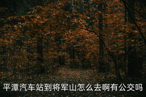 平潭汽車站到將軍山怎么去啊有公交嗎