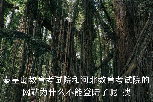 秦皇島教育考試院和河北教育考試院的網站為什么不能登陸了呢  搜