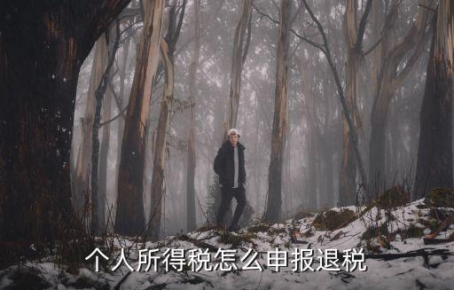 個人所得稅怎么退，個稅怎么申報退稅