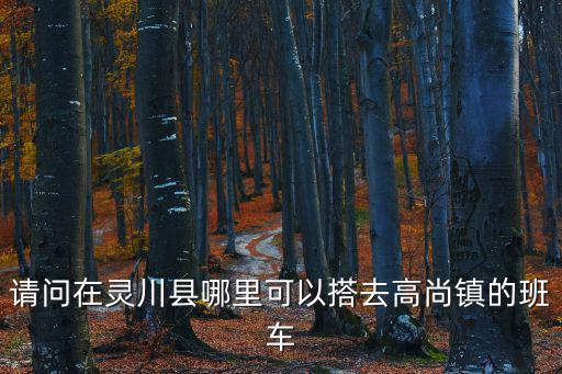 請問在靈川縣哪里可以搭去高尚鎮(zhèn)的班車