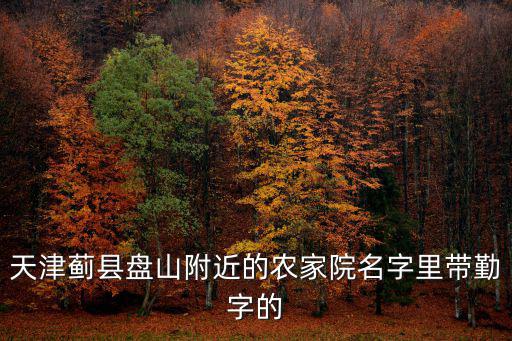 天津薊縣盤山附近的農家院名字里帶勤字的