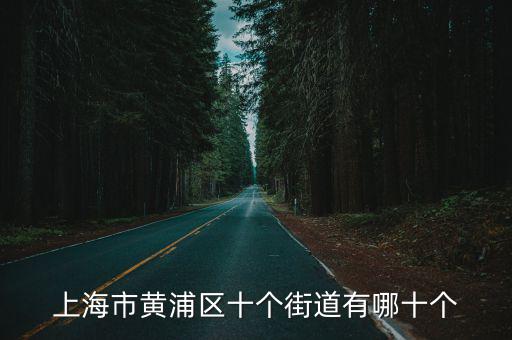 上海市黃浦區(qū)十個(gè)街道有哪十個(gè)