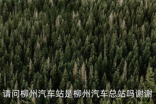 請問柳州汽車站是柳州汽車總站嗎謝謝