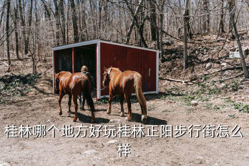 桂林正陽步行街，桂林原來正陽步行街鐘樓底下的那家街頭原創搬去哪里了