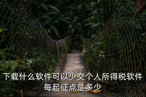 個(gè)人所得稅下載，怎么下載個(gè)人所得稅