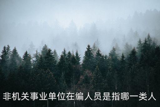 非機關事業單位在編人員是指哪一類人