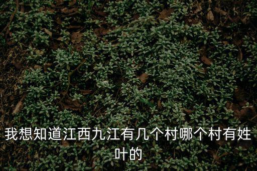 我想知道江西九江有幾個村哪個村有姓葉的