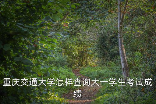 重慶交通大學怎樣查詢大一學生考試成績
