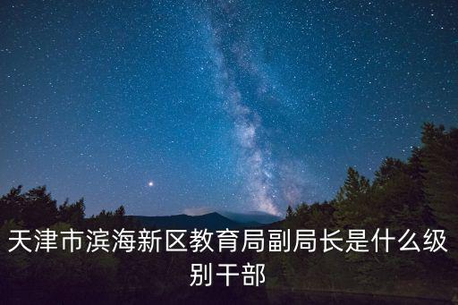 濱海新區教育局，天津濱海新區教育局在哪里
