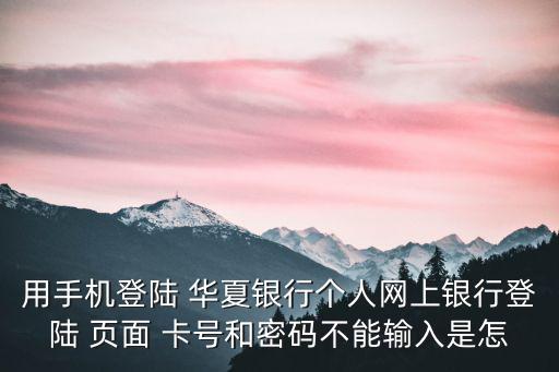 華夏銀行網上銀行登錄，華夏銀行網上銀行登錄時密碼不能輸入