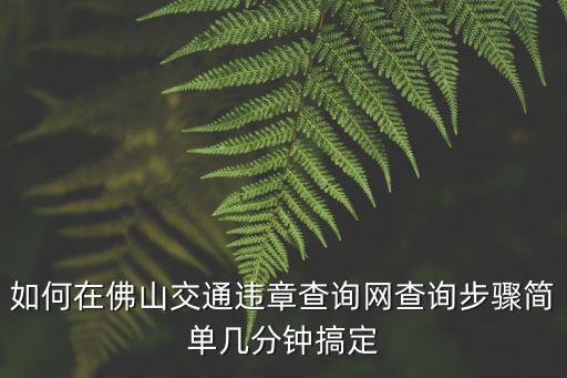 如何在佛山交通違章查詢網查詢步驟簡單幾分鐘搞定