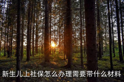 新生兒辦理社保卡需要什么資料，新生兒上社保怎么辦理需要帶什么材料