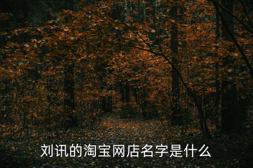 劉訊，劉訊的淘寶網(wǎng)店名字是什么