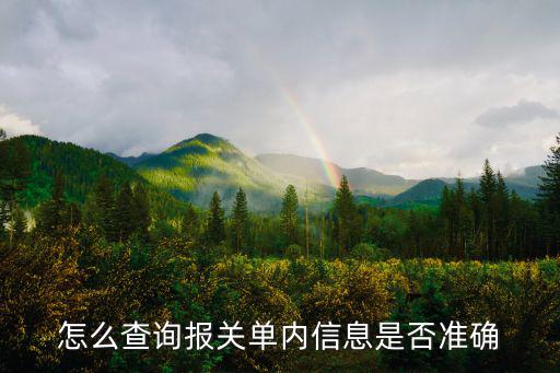 海關信息查詢，怎么查詢報關單內信息是否準確