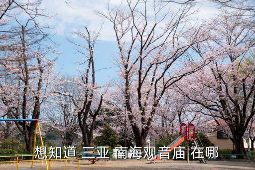 想知道 三亞 南海觀音廟 在哪