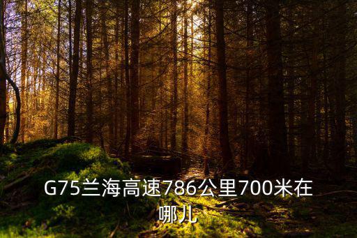 G75蘭海高速786公里700米在哪兒