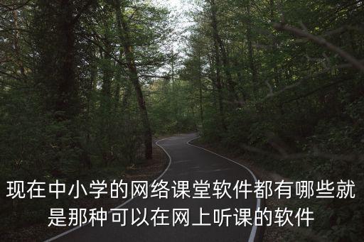 現在中小學的網絡課堂軟件都有哪些就是那種可以在網上聽課的軟件