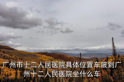廣州市十二人民醫(yī)院具體位置車陂到廣州十二人民醫(yī)院坐什么車