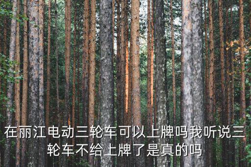 在麗江電動三輪車可以上牌嗎我聽說三輪車不給上牌了是真的嗎