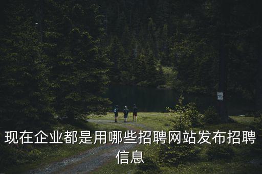 現在企業都是用哪些招聘網站發布招聘信息
