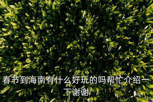 春節到海南有什么好玩的嗎幫忙介紹一下謝謝