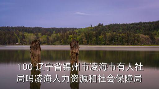  100 遼寧省錦州市凌海市有人社局嗎凌海人力資源和社會保障局