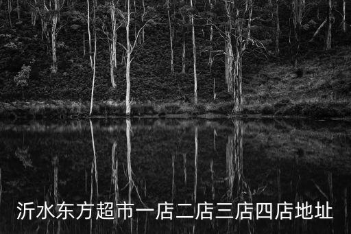 沂水東方超市一店二店三店四店地址
