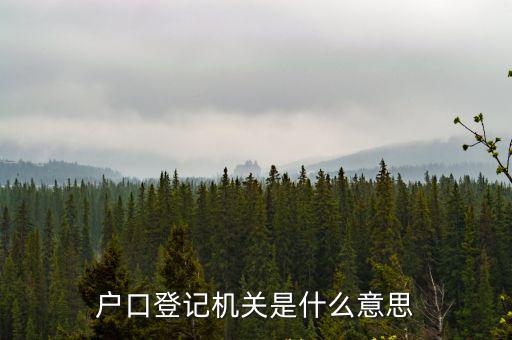 戶口登記機關是什么意思