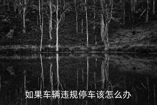 如果車輛違規停車該怎么辦
