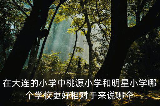 桃源小學(xué)，大連中山區(qū)重點(diǎn)小學(xué)是哪個(gè)文秀小學(xué)和桃源小學(xué)那個(gè)比較好