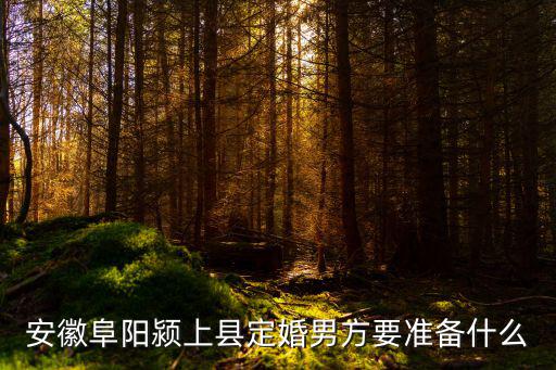 安徽阜陽潁上縣定婚男方要準備什么