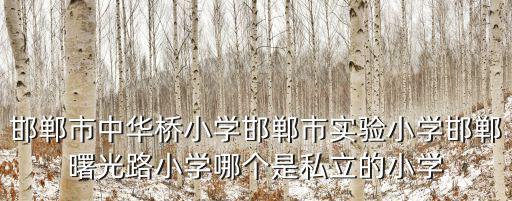 邯鄲市中華橋小學邯鄲市實驗小學邯鄲曙光路小學哪個是私立的小學