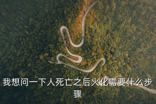 我想問(wèn)一下人死亡之后火化需要什么步驟