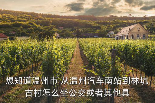 想知道溫州市 從溫州汽車南站到林坑古村怎么坐公交或者其他具