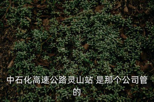 中石化高速公路靈山站 是那個公司管的