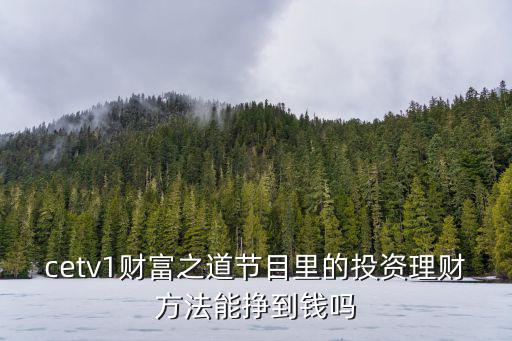 cetv1財富之道節(jié)目里的投資理財方法能掙到錢嗎