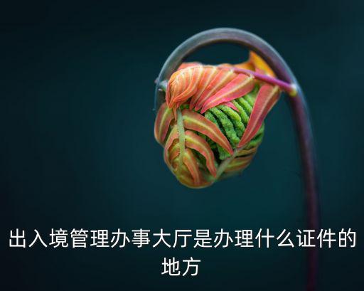出入境管理辦事大廳是辦理什么證件的地方