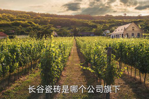 長(zhǎng)谷瓷磚，到底是長(zhǎng)谷磁磚還是長(zhǎng)谷瓷磚啊怎么我看都是寫的長(zhǎng)谷磁磚啊有什