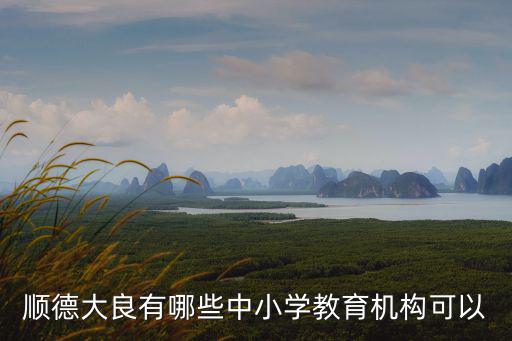 順德大良有哪些中小學教育機構可以