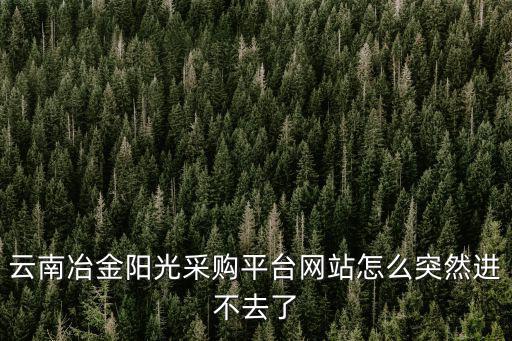 云南冶金陽光采購平臺網站怎么突然進不去了