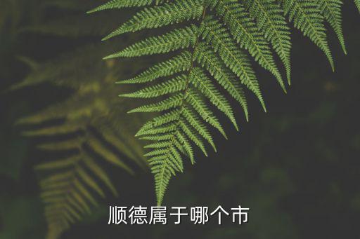 順德屬于哪個市