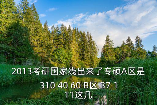 2013考研國家線出來了專碩A區(qū)是310 40 60 B區(qū) 37 111這幾