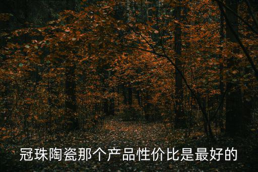 冠珠陶瓷那個產品性價比是最好的