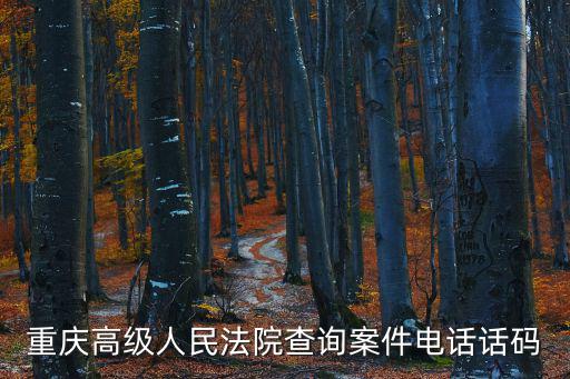 重慶高級(jí)人民法院查詢案件電話話碼
