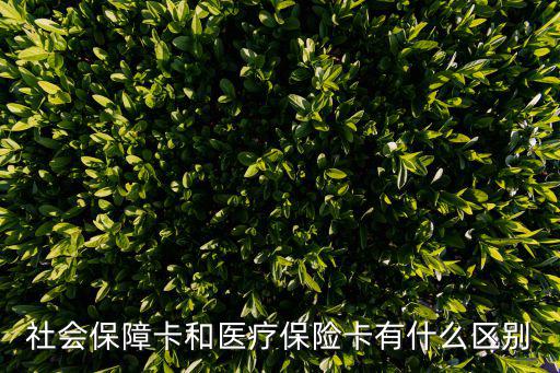 社會保障卡和醫療保險卡有什么區別
