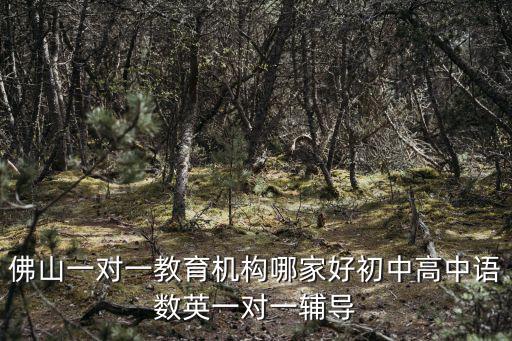 佛山一對一教育機(jī)構(gòu)哪家好初中高中語數(shù)英一對一輔導(dǎo)
