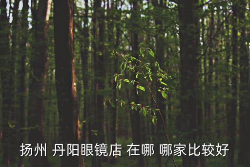 揚州 丹陽眼鏡店 在哪 哪家比較好