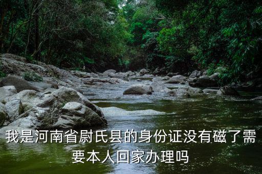 我是河南省尉氏縣的身份證沒有磁了需要本人回家辦理嗎